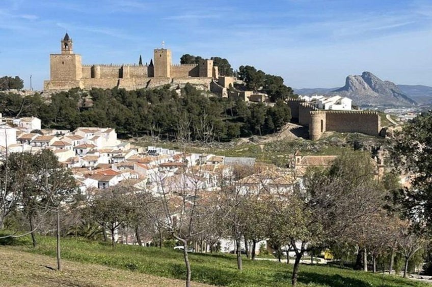 A historic city with a prominent castle on a hill, surrounded by a town with white buildings. 5