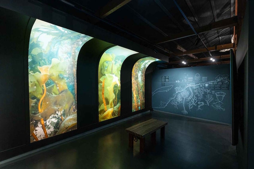 A gallery with three large illuminated panels and a wooden bench. 5