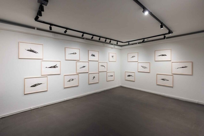 An art gallery with framed bird illustrations on the walls. 4