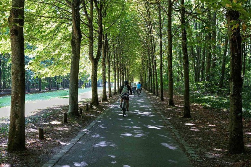 Parc de Saint-Cloud 2