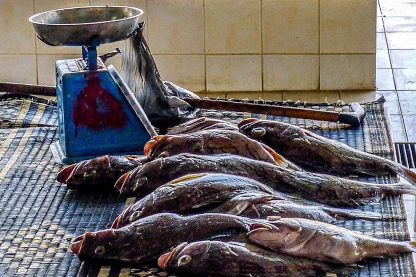 A weighing scale with several fish laid out on a mat. 3