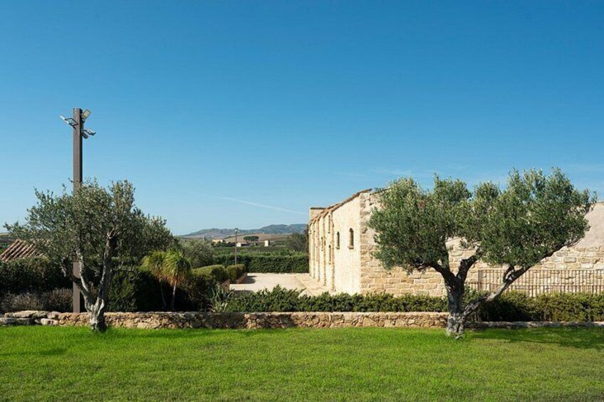 Nature and Peace in the Pool at Tenute Baglio Passofondo 4