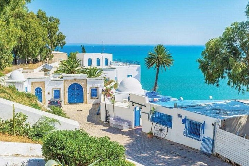 Private Excursions from the Port of La Goulette 2