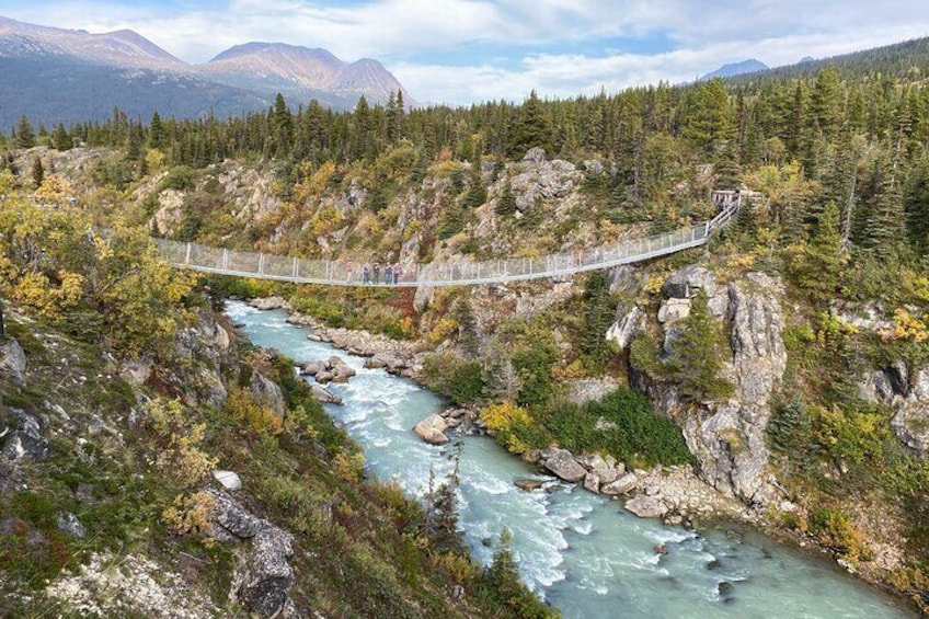 A suspension bridge over a river surrounded by forest and mountains. 1