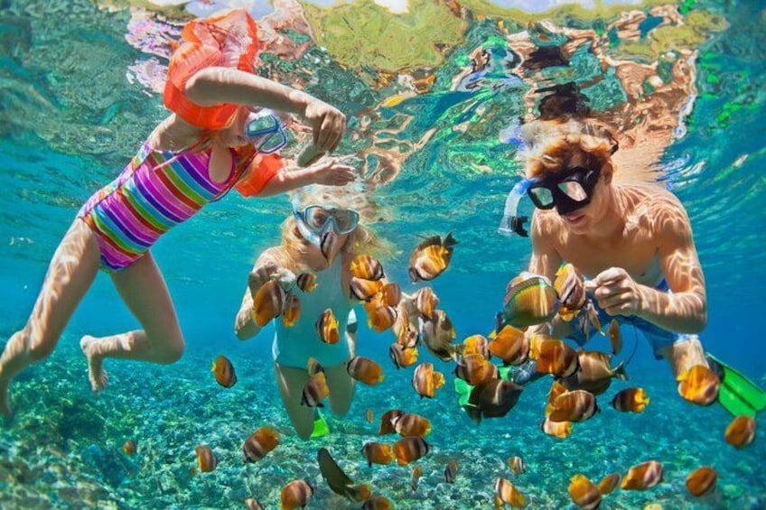 Full Day Tour to Playa Blanca Baru with Lunch 3
