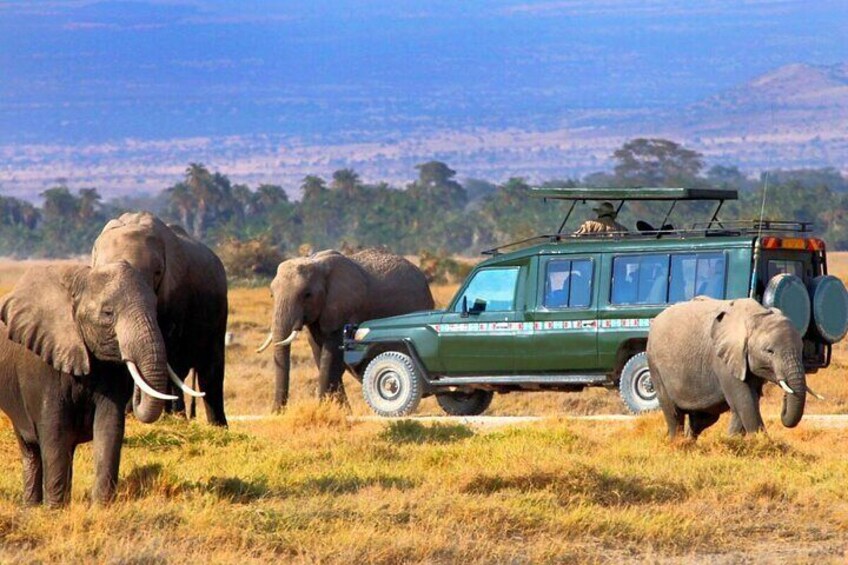A safari vehicle with a person on top, surrounded by elephants in a grassy field with a mountain in the background. 2