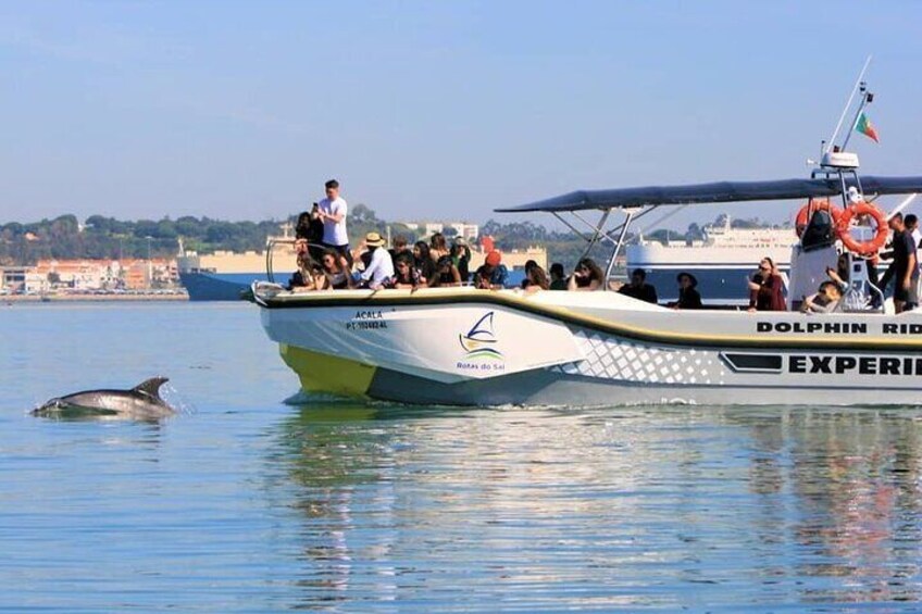 En båd med teksten 'Dolphin Ride' og 'Experiential', folk ombord, og en delfin svømmer i nærheden. 1