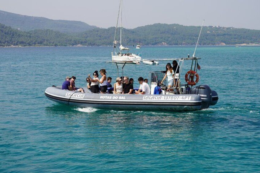 Observation of Dolphins in Setúbal 2