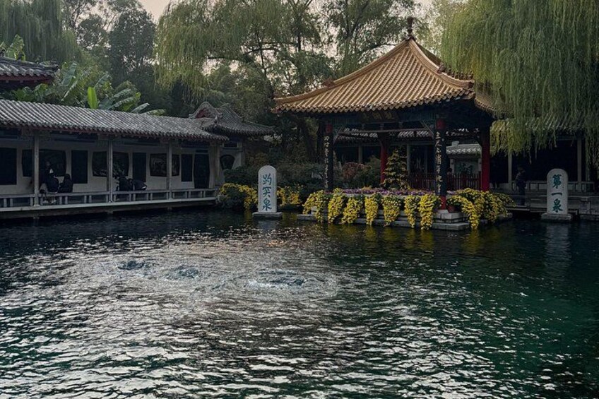 3-Day Highlights of Shandong by bullet train from Beijing 3