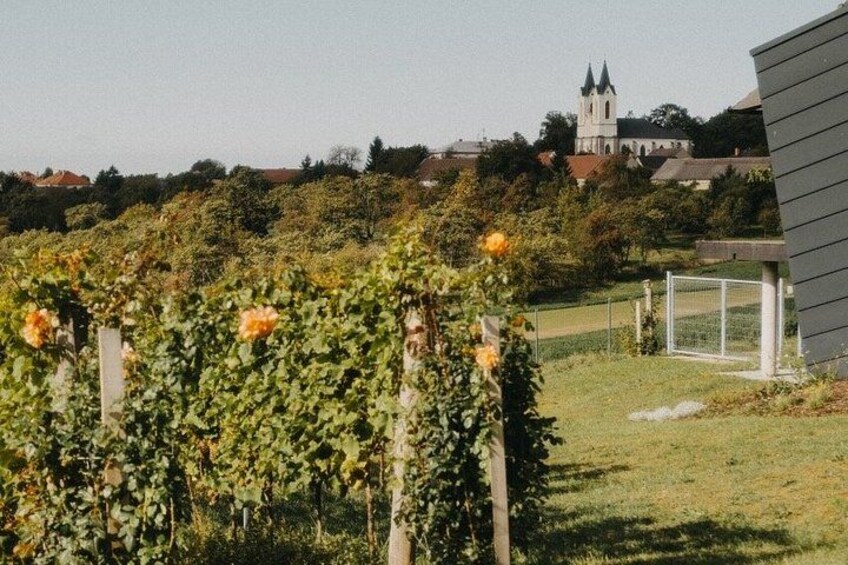 From Prague: Private Bohemian Wine Tour & Local Delicacies 2