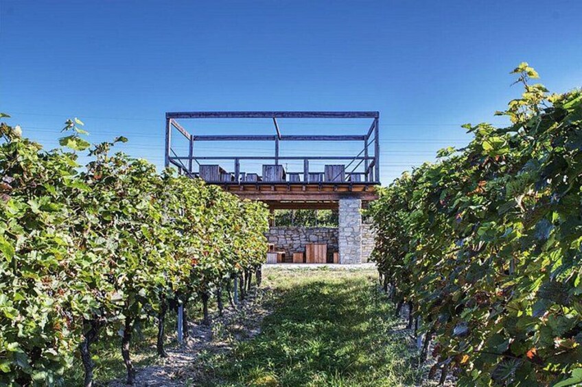 From Prague: Private Bohemian Wine Tour & Local Delicacies 1