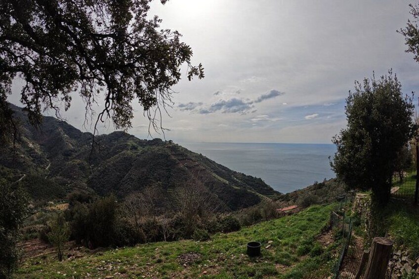 Exclusive E-Bike Tour to Cinque Terre from Monterosso 2