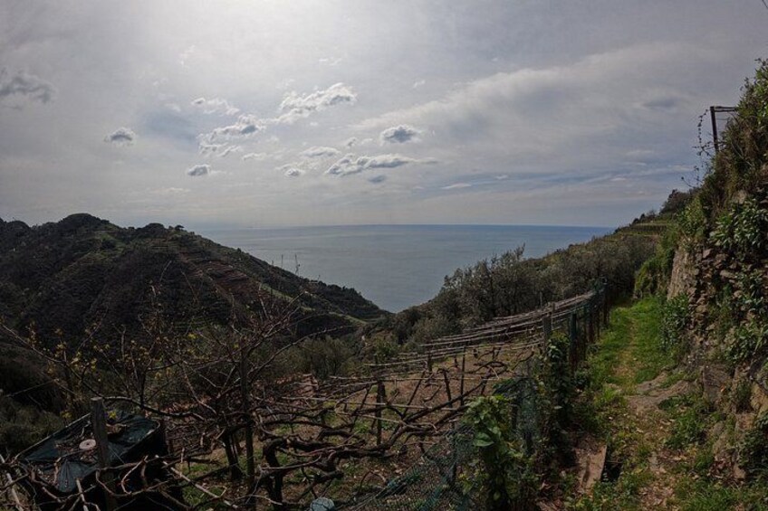 Exclusive E-Bike Tour to Cinque Terre from Monterosso 2