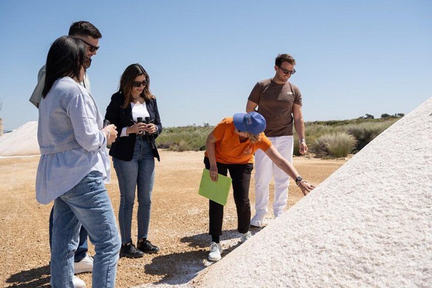 Un groupe de personnes se tient sur une étendue de sable, avec une grande dune de sable en arrière-plan. 2