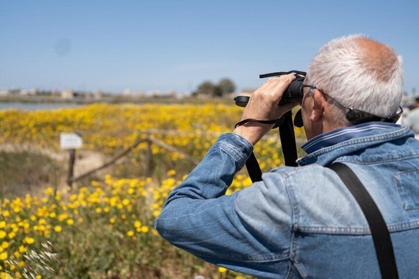Eine Person fotografiert mit einer Kamera ein Feld voller gelber Blumen. 4