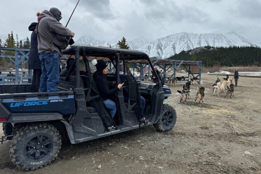 A UForce 1000XL off-road vehicle with people inside, a group of dogs in the background, and snow-capped mountains in the distance. 4