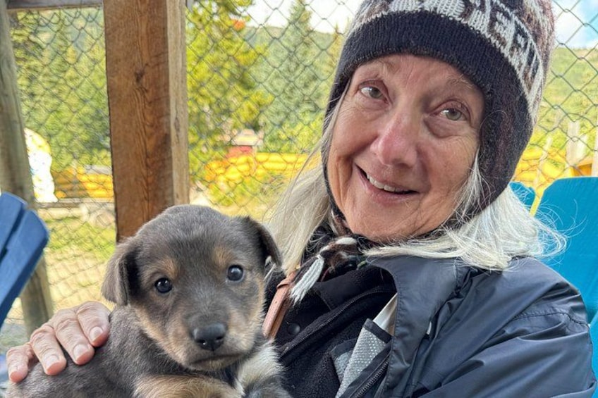 A person holding a puppy. 5