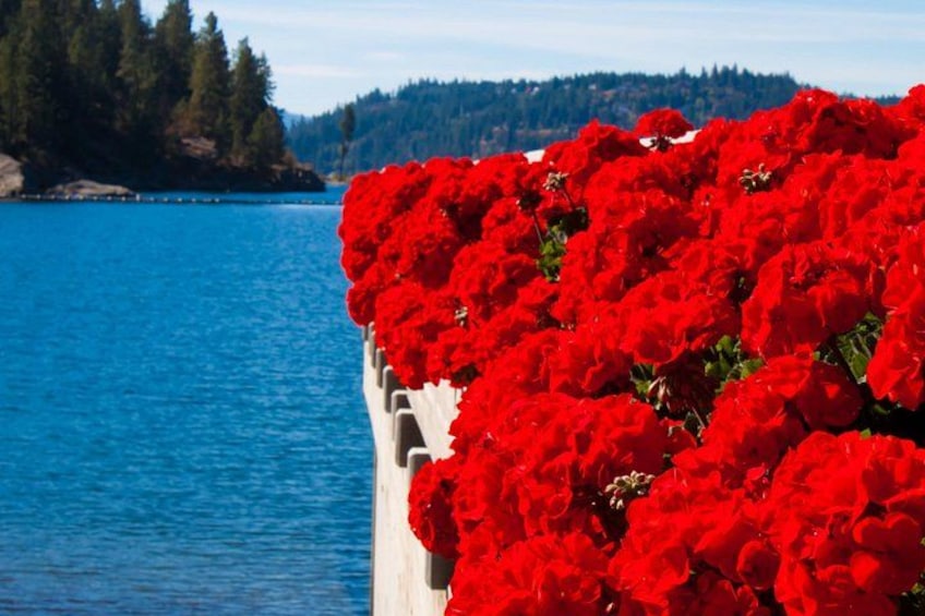 A body of water with red flowers in the foreground and a forested area in the background. 5