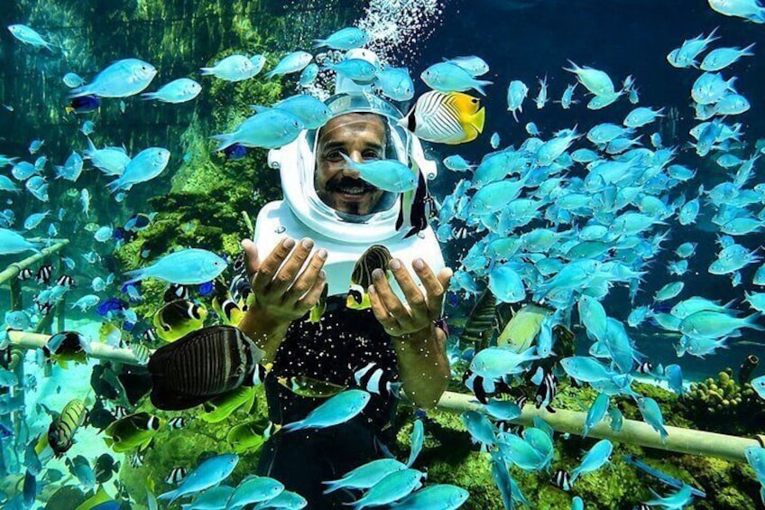 Bali Sea Walker Under Water Experience With Hotel Transfer 3