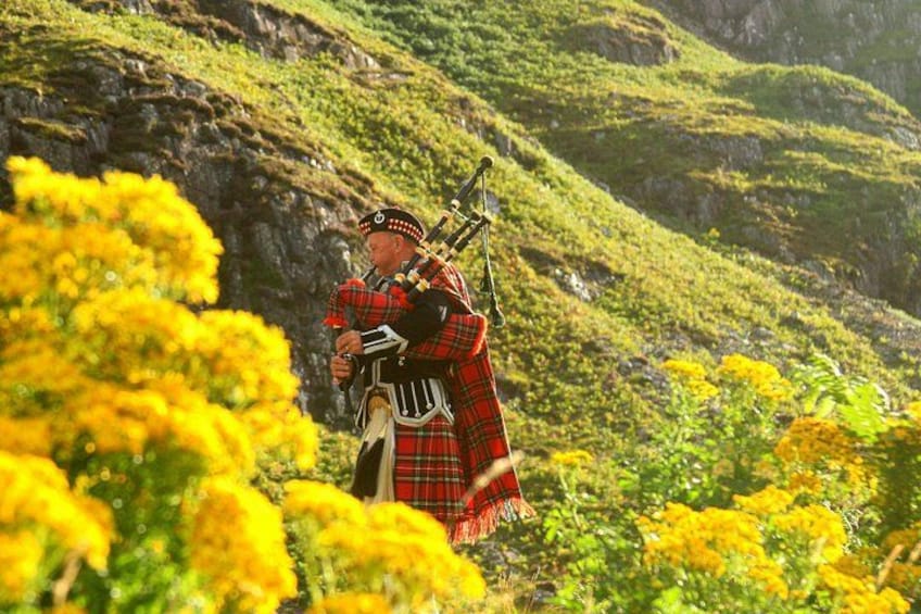 A person playing bagpipes in a mountainous area with yellow flowers. 2