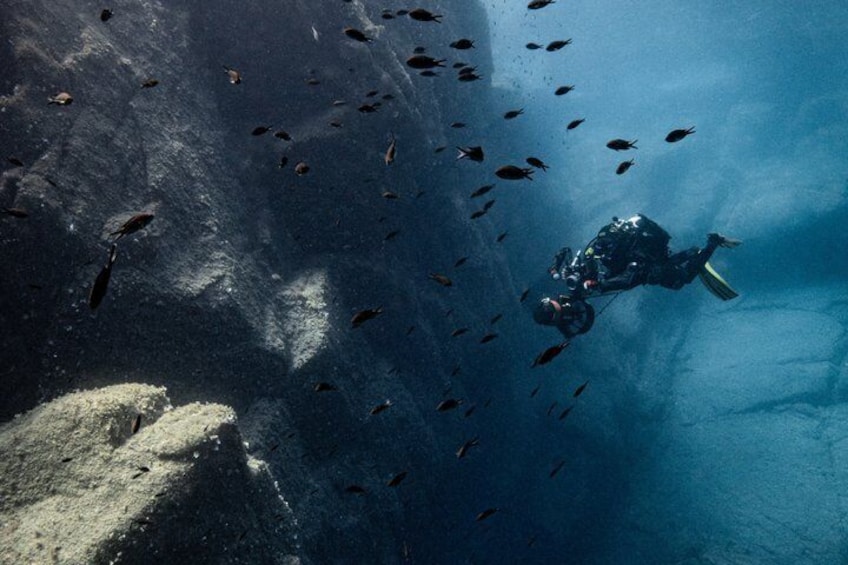 Scuba diving in Sardinia: La Maddalena Archipelago and Lavezzi 1