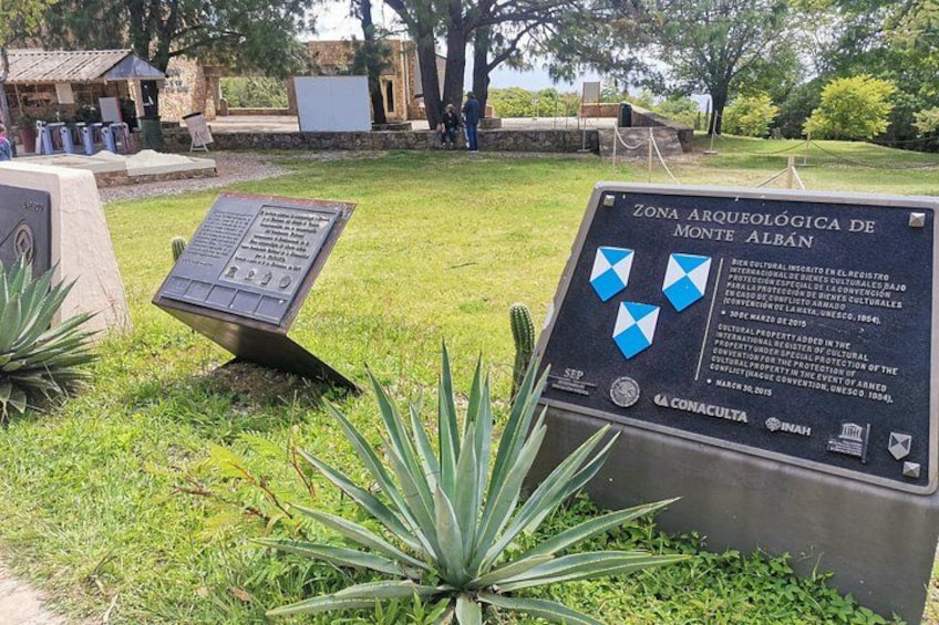 A signboard with text and a blue diamond-shaped symbol, surrounded by grass and a cactus. 4
