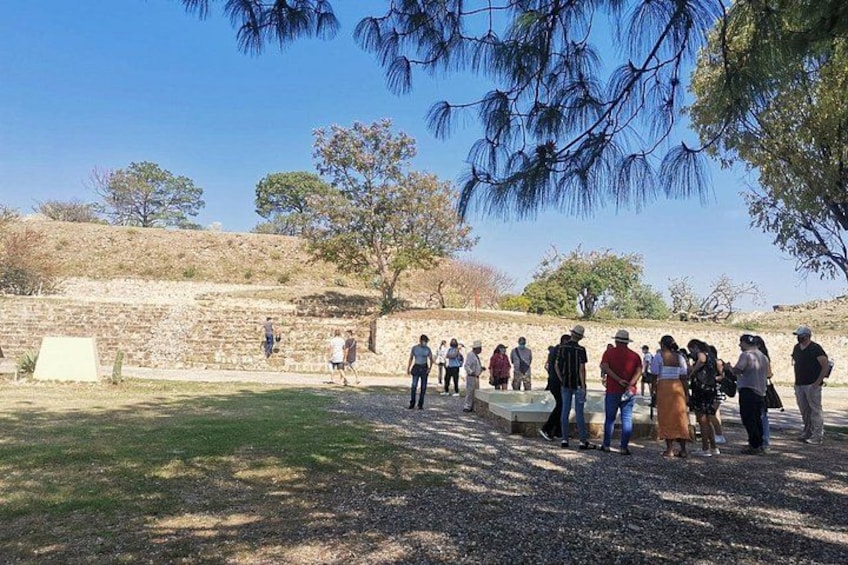 A group of people gathered around a stone structure in a park with trees and a hill in the background. 5