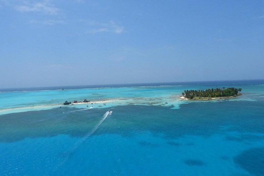4 Tours in 1 : Aquarium, Haynes Cay, Watching and Mangroves 2
