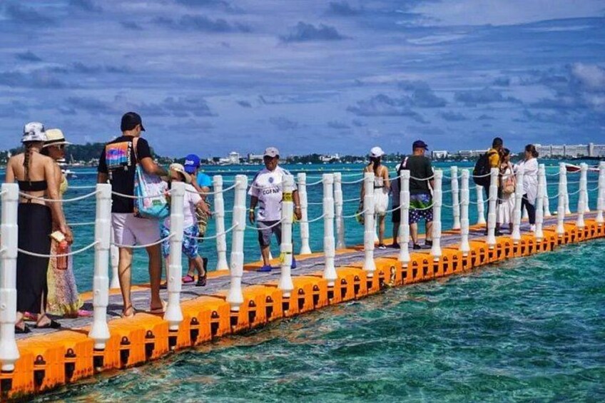 4 Tours in 1 : Aquarium, Haynes Cay, Watching and Mangroves 4