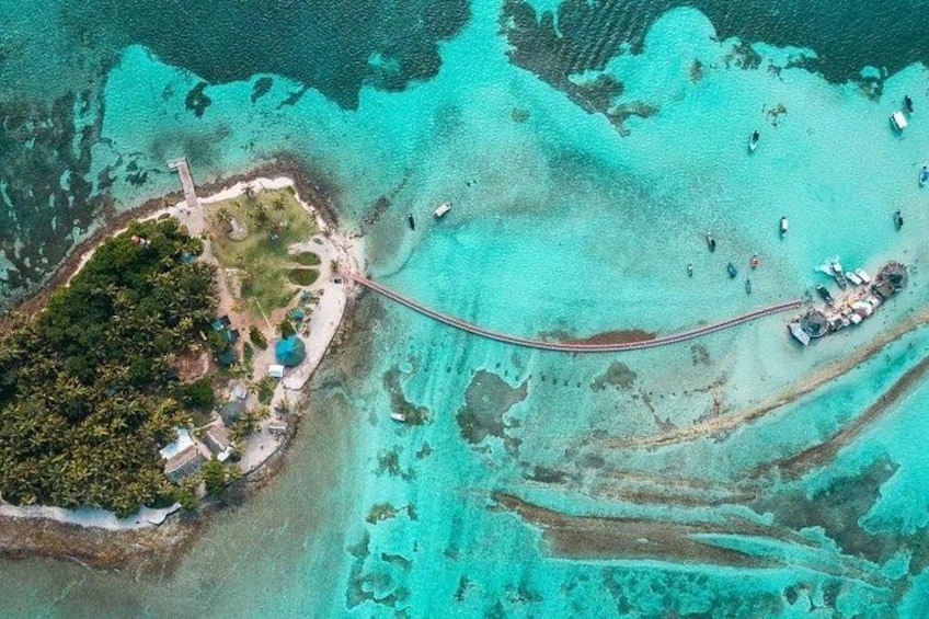 4 Tours in 1 : Aquarium, Haynes Cay, Watching and Mangroves 3