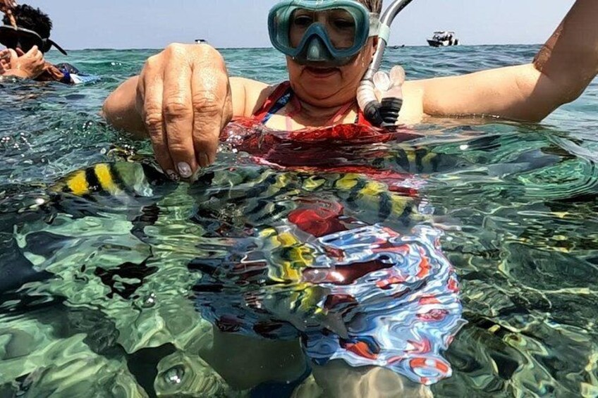 Rosario Islands and Playa Blanca Tour with Snorkeling or Aquarium 4