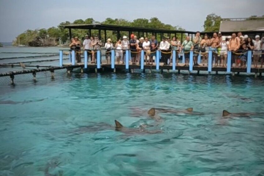 Rosario Islands and Playa Blanca Tour with Snorkeling or Aquarium 4