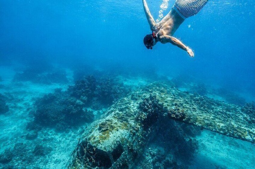 Rosario Islands and Playa Blanca Tour with Snorkeling or Aquarium 4