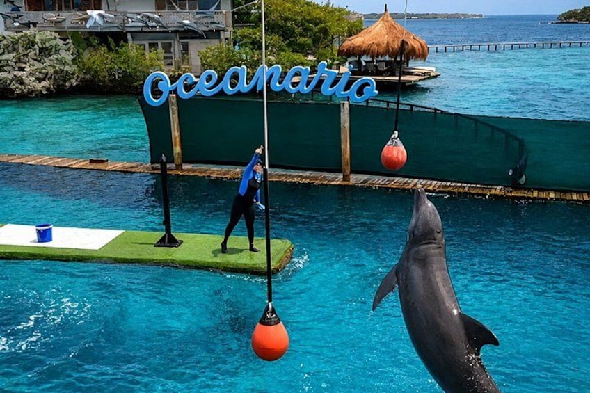 Rosario Islands and Playa Blanca Tour with Snorkeling or Aquarium 4