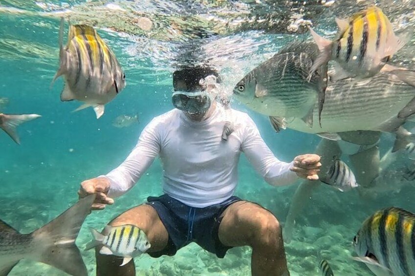 Rosario Islands and Playa Blanca Tour with Snorkeling or Aquarium 3