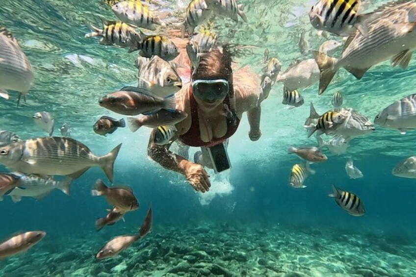 Rosario Islands and Playa Blanca Tour with Snorkeling or Aquarium 1