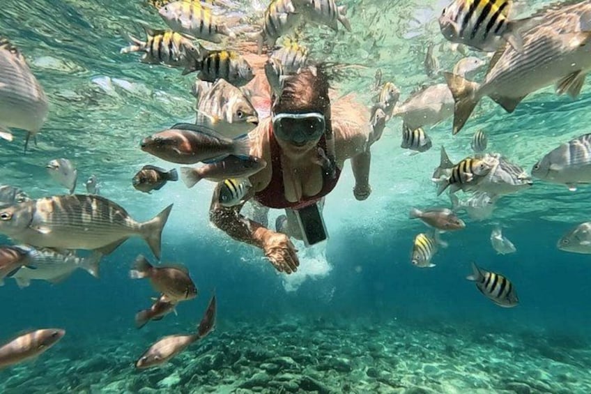 Rosario Islands and Playa Blanca Tour with Snorkeling or Aquarium 1