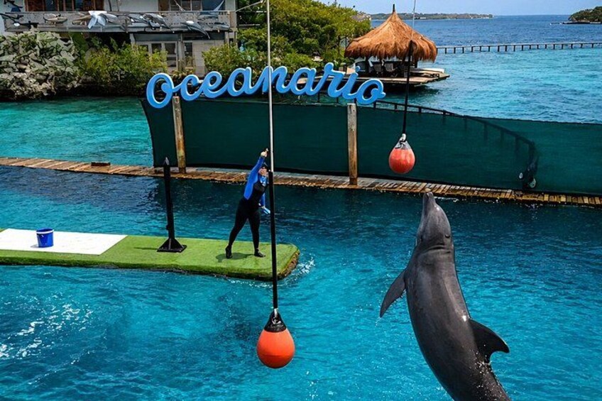 Rosario Islands and Playa Blanca Tour with Snorkeling or Aquarium 2