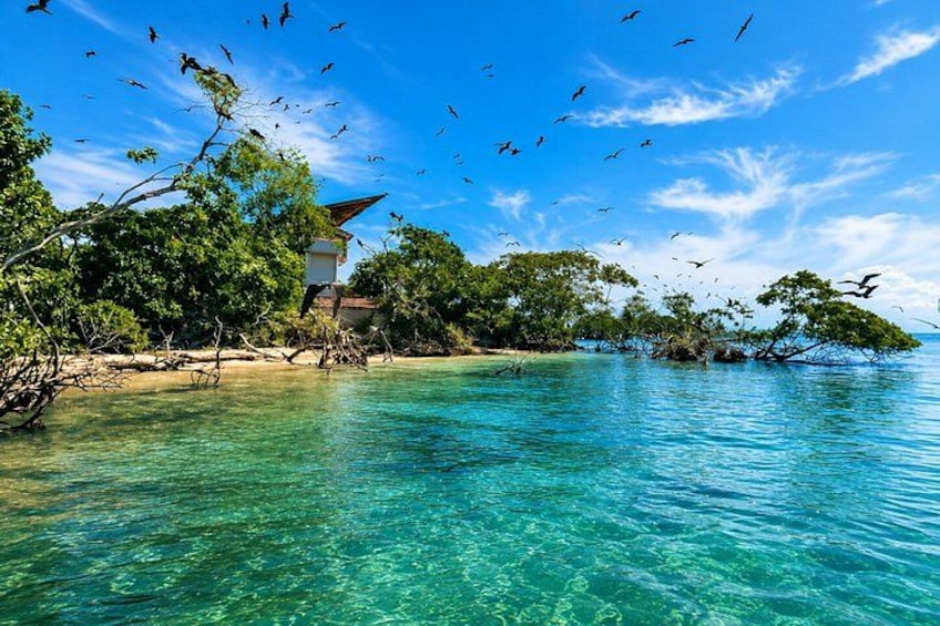 Rosario Islands and Playa Blanca Tour with Snorkeling or Aquarium 3