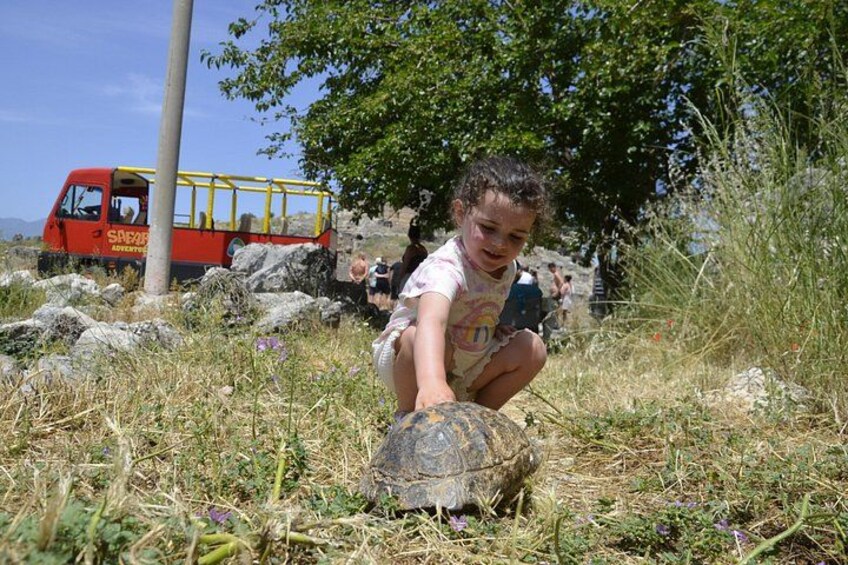 A child crouching next to a turtle on a rocky terrain with a red vehicle in the background. 3