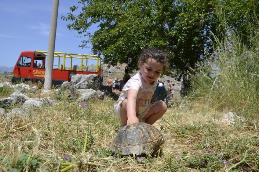Fethiye Jeep Safari: Saklikent Canyon, Mud Bath & Water Fight 3