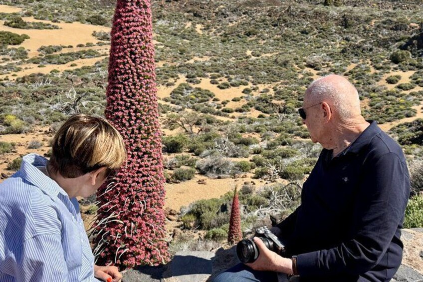 Authentic Tenerife, Teide and Masca on a Private Tour. 3