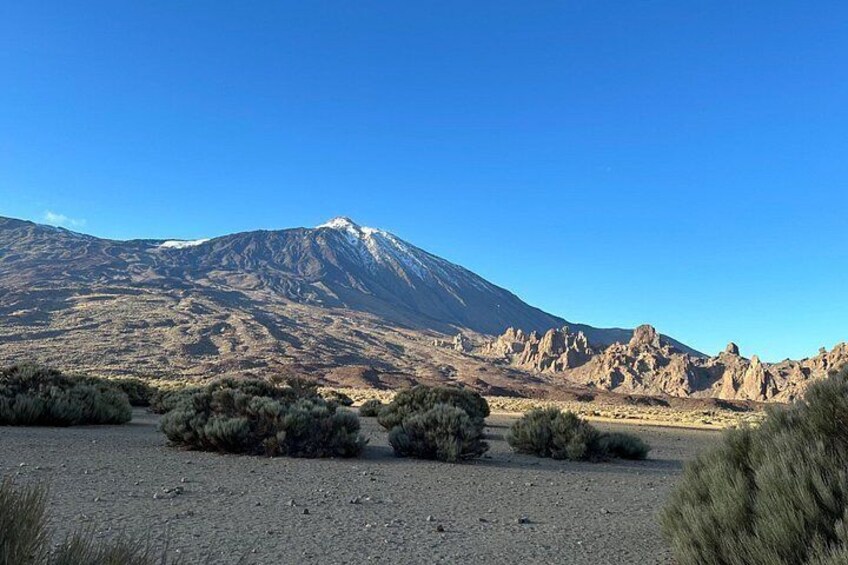 Authentic Tenerife, Teide and Masca on a Private Tour. 2