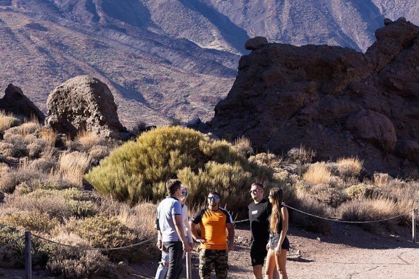 Authentic Tenerife, Teide and Masca on a Private Tour. 5