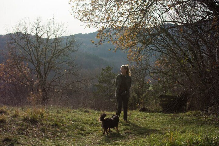 A person walking a dog in a grassy field with trees and mountains in the background. 5