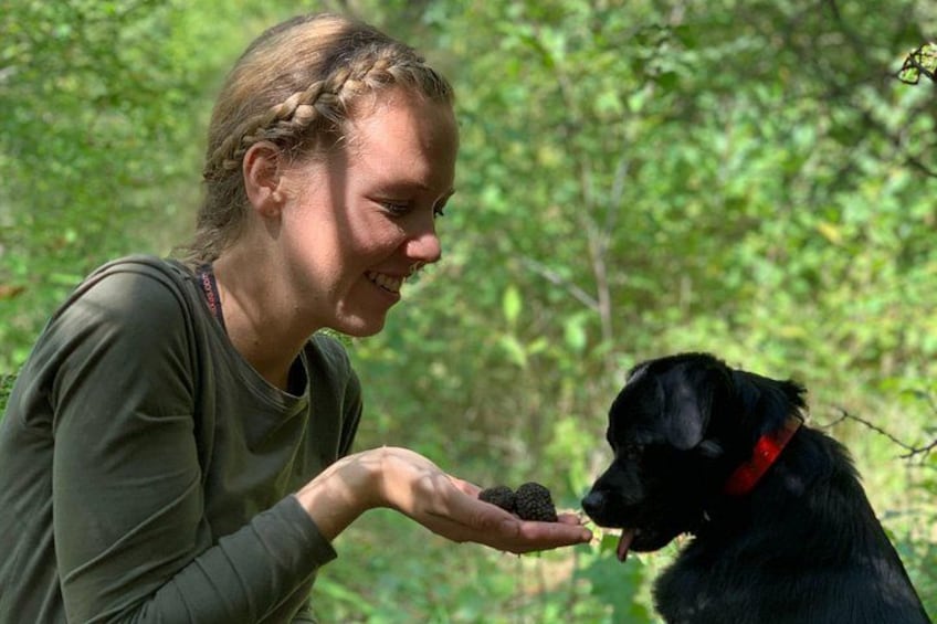 En person holder en håndfuld bær, mens en sort hund med rødt halsbånd interagerer i et skovområde. 1
