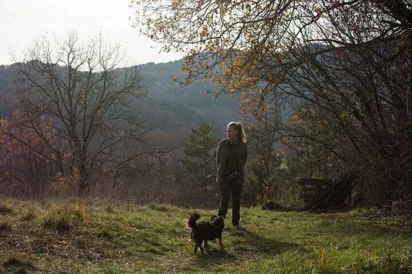 Truffle hunting 5