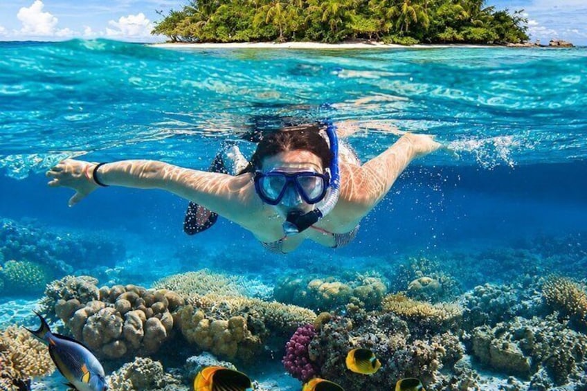From Uppuveli Beach: Pigeon Island Snorkeling Tour 1
