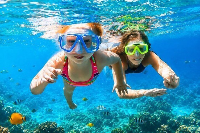Trincomalee: Whales Watching and Navy Island Snorkeling Tour 5