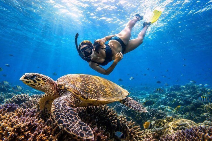 From Uppuveli Beach: Pigeon Island Snorkeling Tour 4